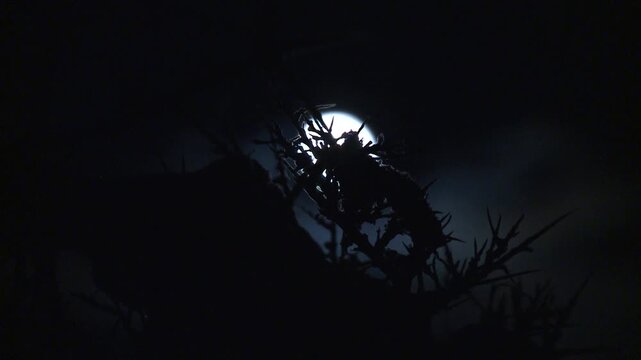 timelapse apparition de la lune pleine