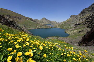 A lake in the mountains, natural scenery, green meadows, snow-capped mountains, blue sky, winter season. Lake views in bloom in spring. Hakkari Cilo Sat Lakes. A lake view in the mountains. 