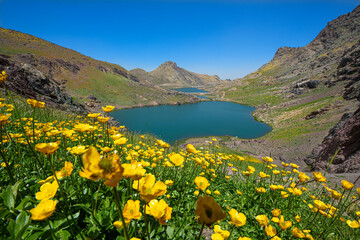 A lake in the mountains, natural scenery, green meadows, snow-capped mountains, blue sky, winter season. Lake views in bloom in spring. Hakkari Cilo Sat Lakes. A lake view in the mountains. 