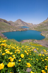 A lake in the mountains, natural scenery, green meadows, snow-capped mountains, blue sky, winter season. Lake views in bloom in spring. Hakkari Cilo Sat Lakes. A lake view in the mountains. 