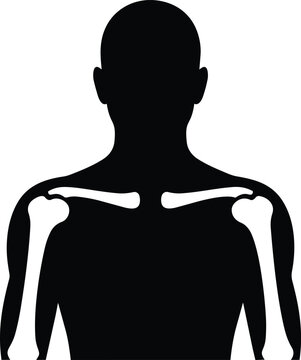 Silhouette of a human torso with visible shoulder and arm bones human anatomy skeleton