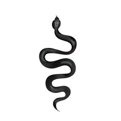 Fototapeta premium Snake kundalini