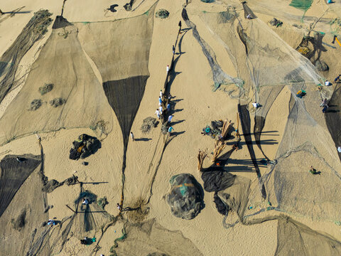 Cox's Bazar, Bangladesh - 08 February 2025: Aerial view of fishing nets spread out on the golden sands, with tiny figures moving across the vast canvas, their shadows stretching long in the sun.