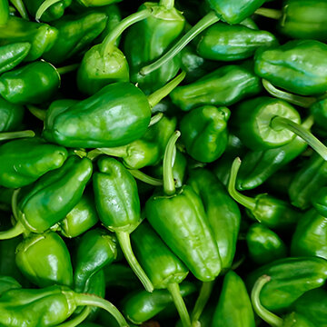 Pimientos verdes frescos de variedad Padr&oacute;n amontonados en primer plano, concepto de comida saludable y agricultura ecol&oacute;gica
