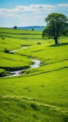 Obraz premium Green landscape grassland outdoors.