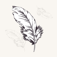 Obraz premium Feather in black and white outline vector illustration. Vintage sketch of bird feather in monochrome. Lightness concept. Boho element clipart