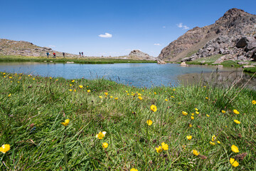 Waterfalls at the Sat Glacier Lakes. Lake landscapes in bloom in spring. Hakkari Cilo Sat Lakes. A lake view in the mountains. Hakkari Cilo Sat Glacier Lakes, mountains covered with flowers.Long expos