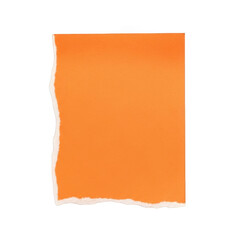Bright orange paper tear isolated on transparent background