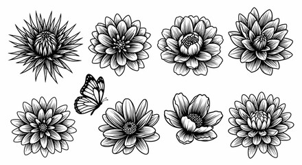 Set of Black and White Floral Illustrations with a Butterfly - Vector Art