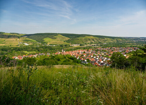 Blick vom Schwarzkiefernwald auf dem&nbsp;Volkenberg nach Erlabrunn am Main, Landkreis W&uuml;rzburg, Unterfranken, Franken, Bayern, Deutschland
