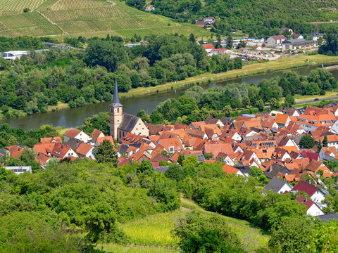 Blick vom Schwarzkiefernwald auf dem&nbsp;Volkenberg nach Erlabrunn am Main, Landkreis W&uuml;rzburg, Unterfranken, Franken, Bayern, Deutschland