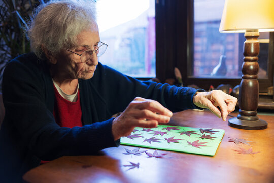 Elderly woman creates herbarium with colorful leaves on a wooden table
