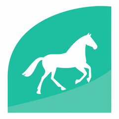 Obraz premium year of the horse 2014