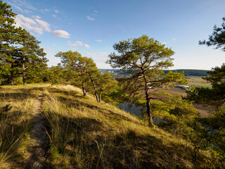 Obraz premium Abend über dem Naturschutzgebiet Grainberg-Kalbenstein bei Karlstadt, Landkreis Main-Spessart, Unterfranken, Bayern, Deutschland