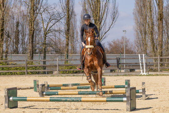 junge Frau auf Fuchs mit langer Blesse reitet im Fr&uuml;hjahr auf dem Reitplatz harmonisch &uuml;ber Cavalettis