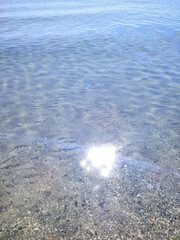 Clean transparent water on shallow sandy seashore with shells with shells on sunny summer day. Sun glare on surface of water. Small waves on sea coast. Nature backdrop. Natural background