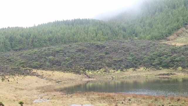 Fog drifts over a green forested hillside above a quiet lagoon in Pico Island, Azores. Serene volcanic landscape with soft light and reflections on the water.