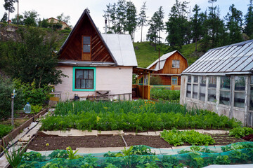 Obraz premium Rural cottage with vegetable garden and old greenhouse
