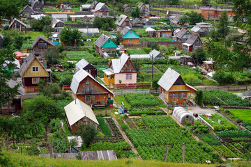 Small colorful wooden houses with lush garden plots