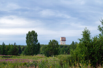 Rusty Soviet tower rising above forest and wildflowers