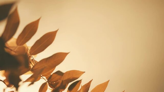 Autumn leaves on a tree branch form a warm golden border, soft bokeh background with ample blank space for copy, overlay or header tranquil, textured fall backdrop