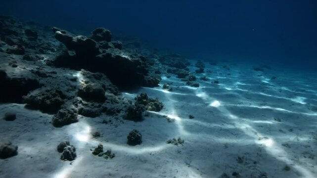 Sunlight patterns play across the sandy ocean floor, illuminating coral and rocky formations in the deep blue sea.
