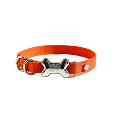 Stylish orange dog collar with a bone-shaped clasp for fashionable pets on White or Transparent background