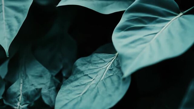 Fallen teal tinged leaves blanket the forest floor, detailed close up textures and glistening water droplets create a moody, organic background with subtle blue green gradients
