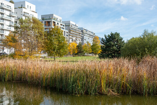 Modern residential architecture in Boulogne Billancourt Paris France with an urban park pond reeds and autumn reflections on calm water
