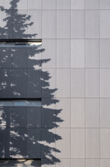 Minimalistyczna nowoczesna fasada budynku z wyraźnym cieniem wiecznie zielonego drzewa na szarych panelach © ErOn