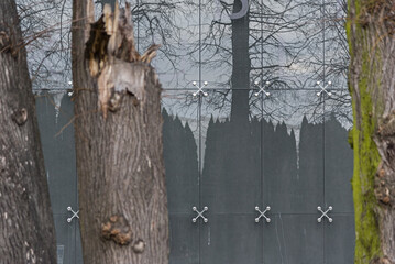 Architektoniczna szklana fasada z mocowaniami punktowymi odbijająca drzewa w ramie z naturalnych pni. © ErOn