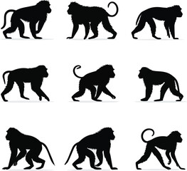 Created on Baboon monkey silhouette illustration set, wild animal walking and standing poses collection on black and white backgroud © MdMasud