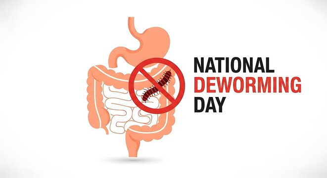 National Deworming Day awareness illustration with human digestive system and anti-worm symbol.