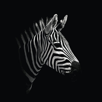 Created on Bold minimal zebra head Silhouette on black and white backgroudn