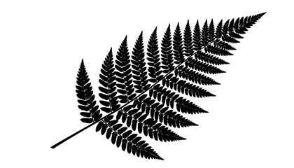 Winter Fern Leaf Intricate Vein Silhouette Flat Vector
