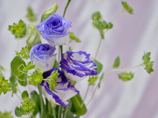 色鮮やかなトルコギキョウ