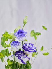 色鮮やかなトルコギキョウ