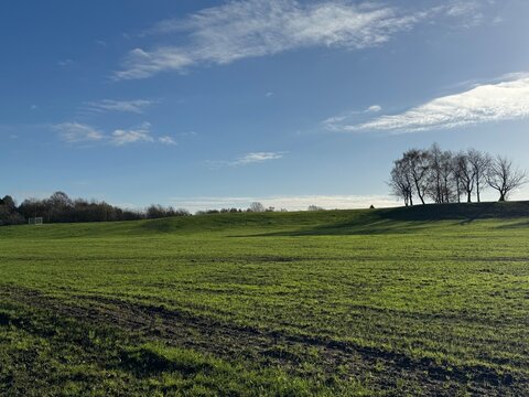 Wide open green field with gentle hills and distant trees in Heaton Park, Manchester, under a bright blue sky with light clouds and natural copy space.