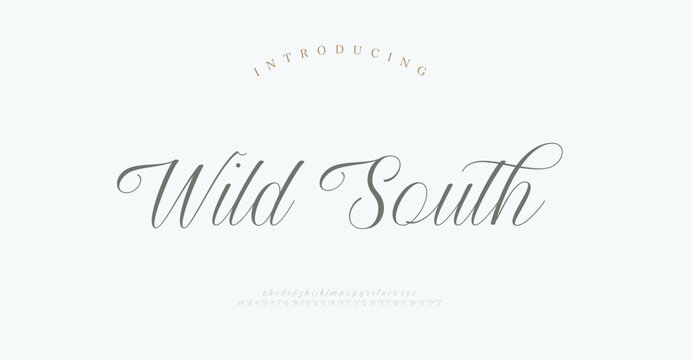 Wild South, Classy elegant font, vintage type or luxury premium typeface, vector English royal alphabet. Classic typography in modern or old art deco style, serif letters for modern or retro poster.