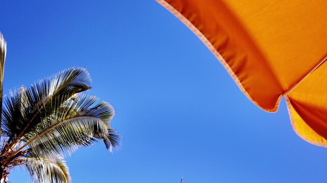 Summer time view of the green crown of a palm tree and a piece of a sunshade parasol under beautiful blue sky on background and copy space for text