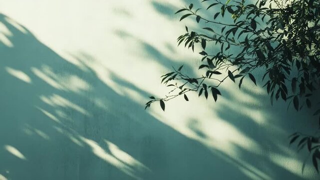 Green plant branches casting long, natural leaf shadows across a textured white wall, creating a serene and minimalist background pattern with daylight and peaceful ambiance