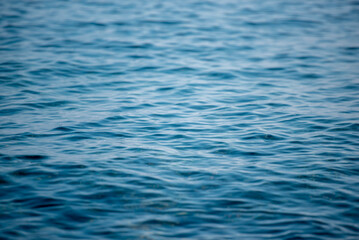 육중한 물의 움직임