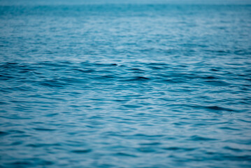 고요하게 일렁이는 파도