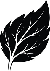 Obraz premium A black leaf silhouette with white veins against a plain background, viewed from directly above, showcasing intricate details and natural beauty