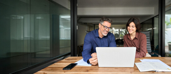 Male executive manager explaining corporate online software to female partner sitting at office...