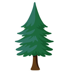 Realistic dense green fir trees on white background vector illustration