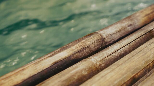 Nature, Water, Tranquil, Close-up