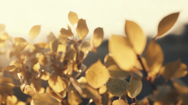 Golden autumn leaves glowing on tree branches, backlit by soft sunlight and warm bokeh, evoking serene fall warmth and tranquil natural beauty in a park like setting