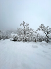 paisaje invernal de monta&ntilde;a con nieve