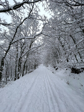 carretera de monta&ntilde;a cubierta de nieve